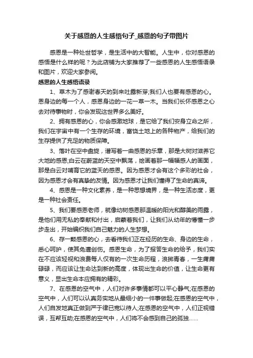 关于感恩的人生感悟句子_感恩的句子带图片