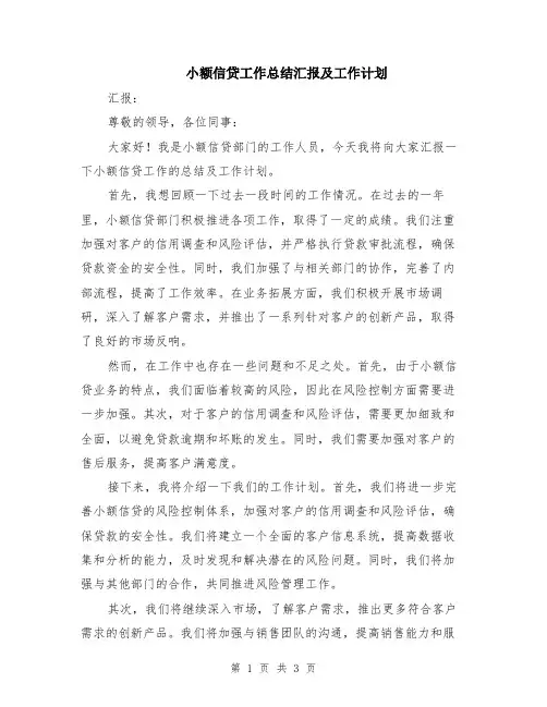 小额信贷工作总结汇报及工作计划