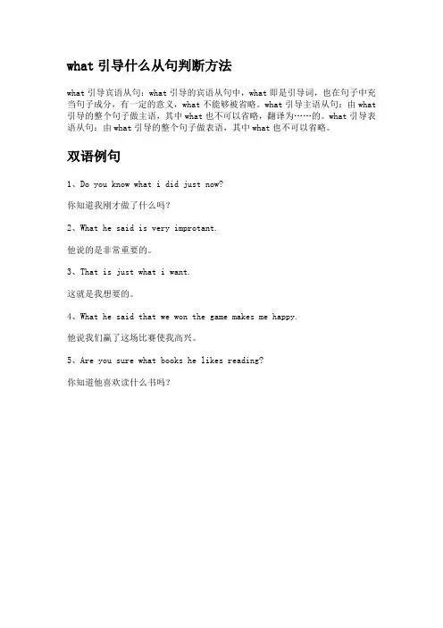 what引导什么从句判断方法