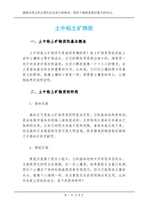 土中粘土矿物质