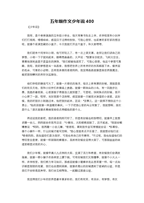 五年级作文少年说400