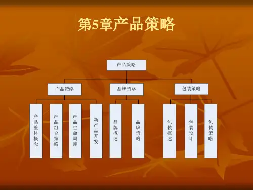 市场营销学第5章