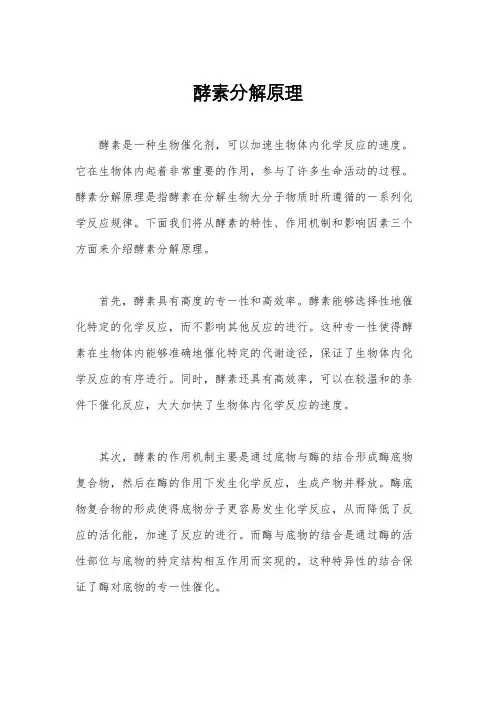 酵素分解原理