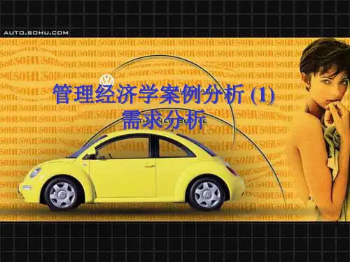 管理经济学案例分析 (1)需求分析