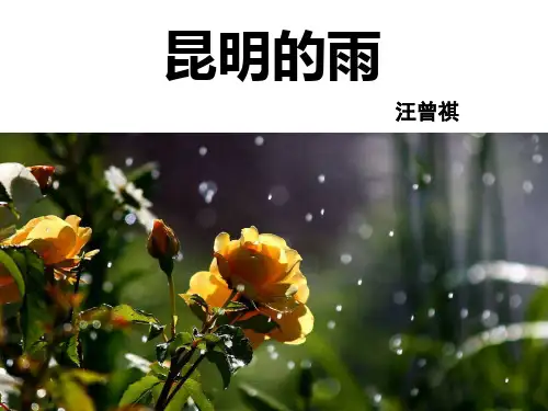16昆明的雨