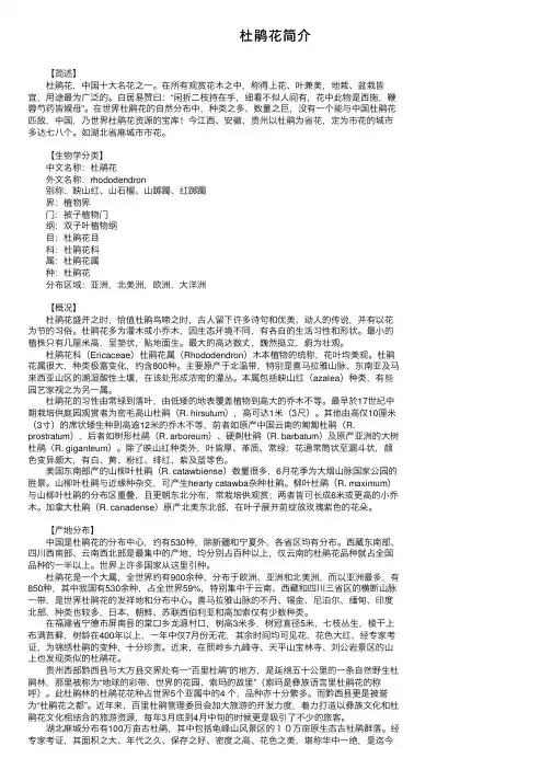 杜鹃花简介——精选推荐