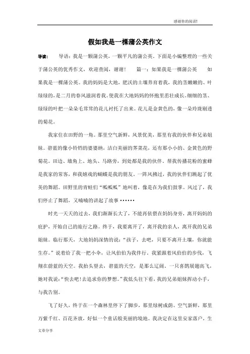 假如我是一棵蒲公英作文