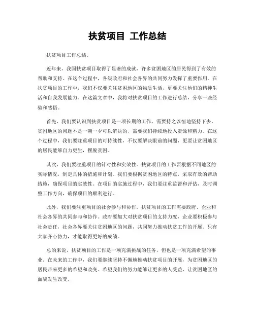扶贫项目 工作总结