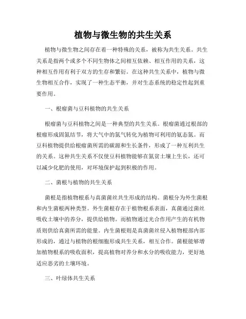 植物与微生物的共生关系