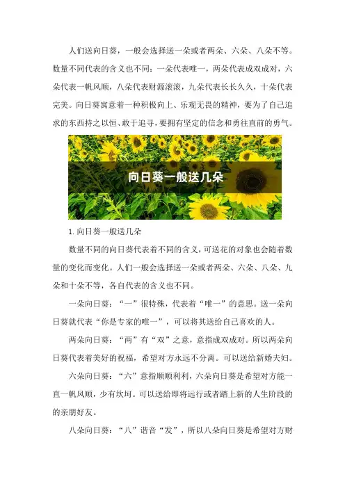 向日葵一般送几朵,向日葵的寓意