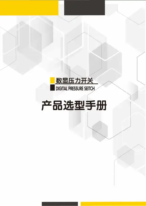 数显压力开关 选型说明书 使用说明书