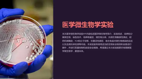 医学微生物学实验