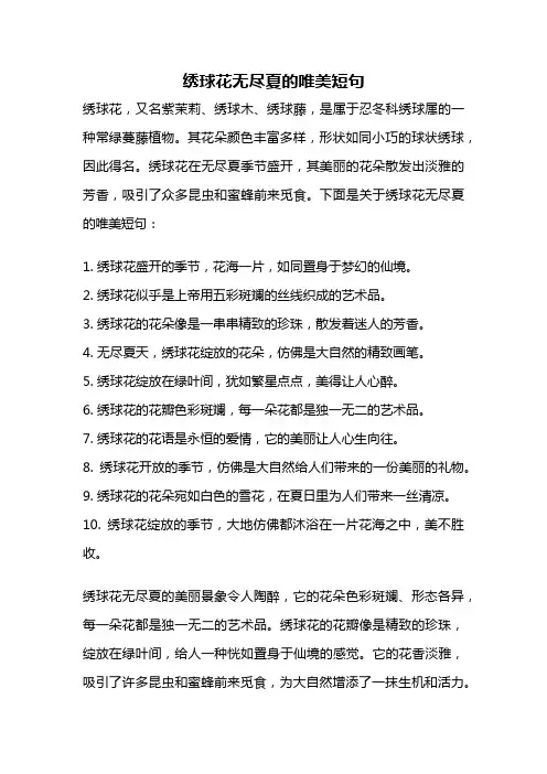 绣球花无尽夏的唯美短句