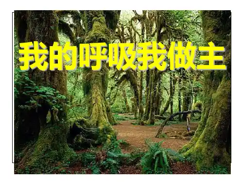 空气净化器精品PPT课件