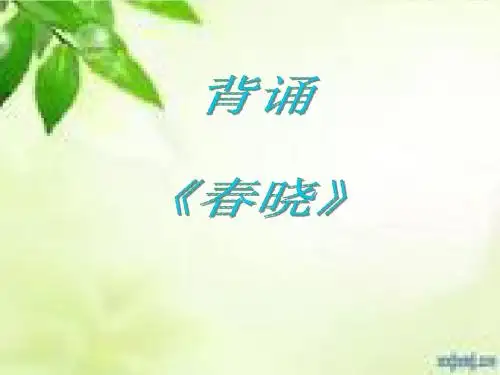 寂静的春天