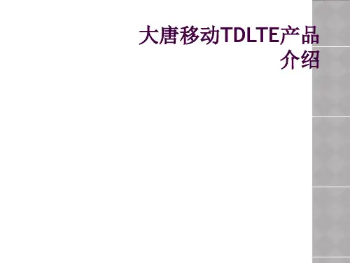 大唐移动TDLTE产品介绍