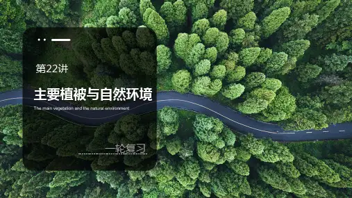 2025届 高中地理一轮复习：主要植被与自然环境 课件