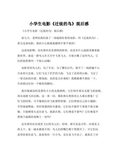 小学生电影《迁徙的鸟》观后感