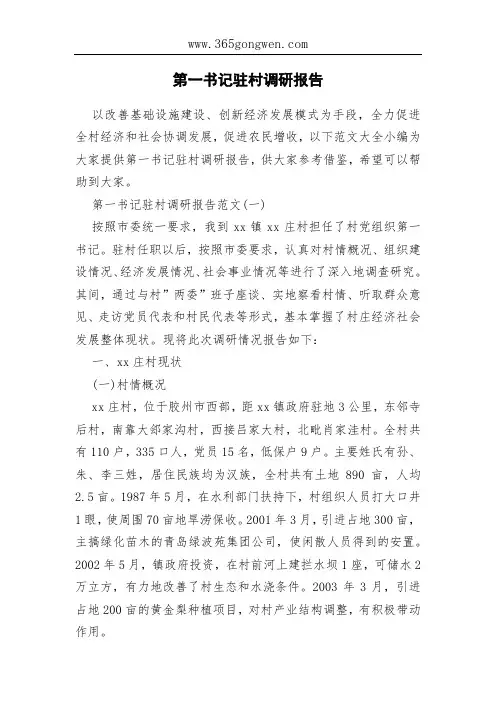 第一书记驻村调研报告