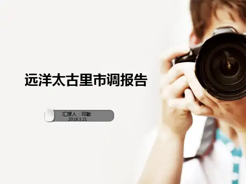 太古里市调报告