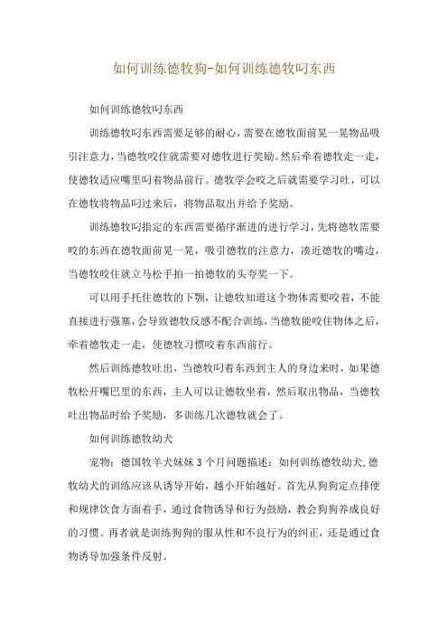 如何训练德牧狗-如何训练德牧叼东西