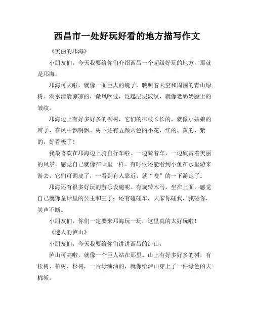 西昌市一处好玩好看的地方描写作文