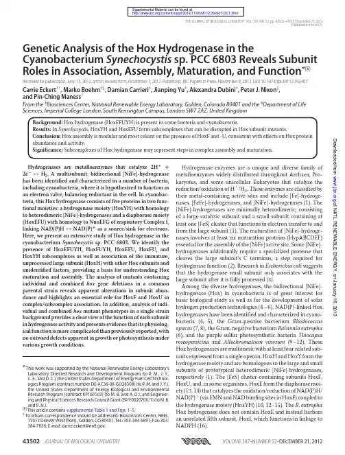 FluorCam叶绿素荧光成像文献 2012 Genetic Analysis of the Hox Hydrogenase