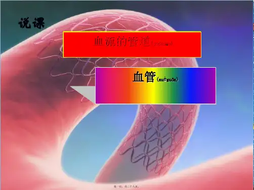 七年级生物下册第四单元第四章第二节血管说课