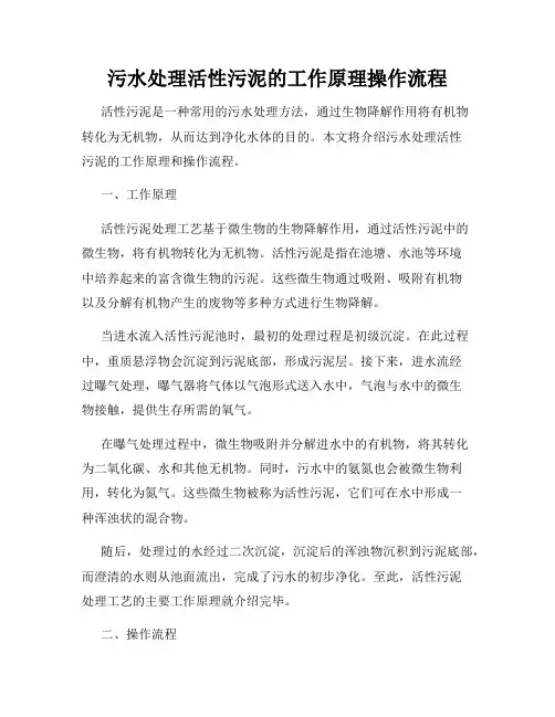 污水处理活性污泥的工作原理操作流程