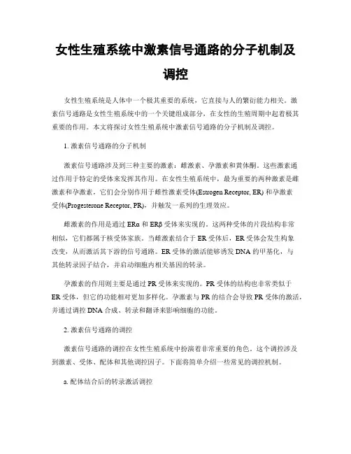 女性生殖系统中激素信号通路的分子机制及调控
