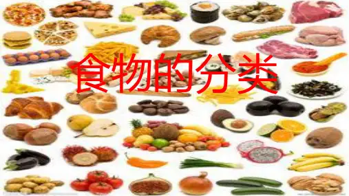 食物的种类