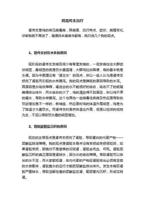 鸡肾传支治疗