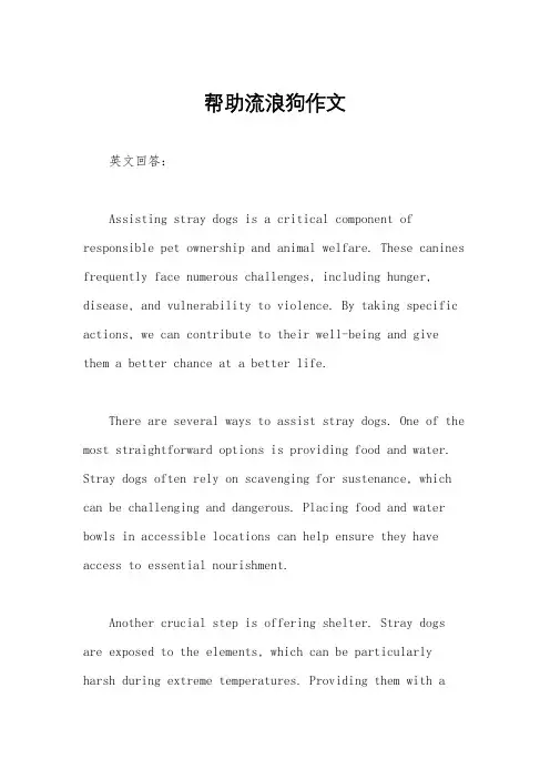 帮助流浪狗作文