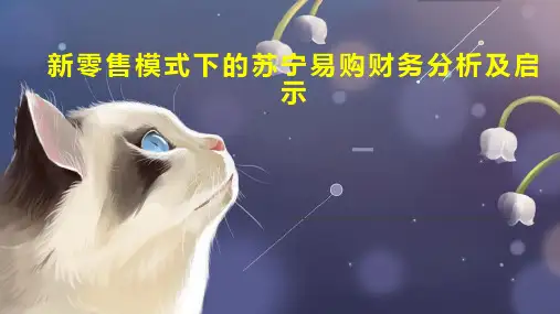 新零售模式下的苏宁易购财务分析及启示