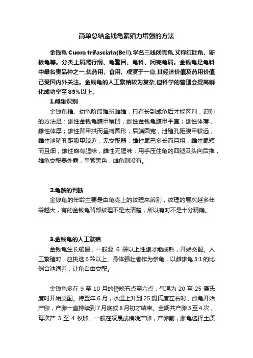 简单总结金钱龟繁殖力增强的方法