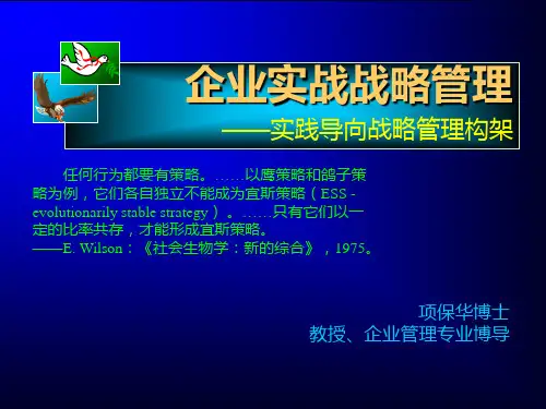 项保华战略3小时讲座稿