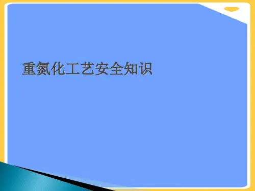 重氮化工艺安全知识.正式版PPT文档