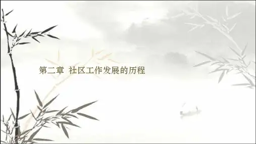 社区工作发展的历程 PPT课件