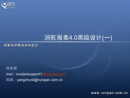 润乾报表4.0高级设计(一)
