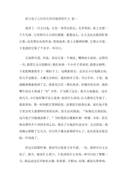 我与兔子之间发生的有趣事情作文