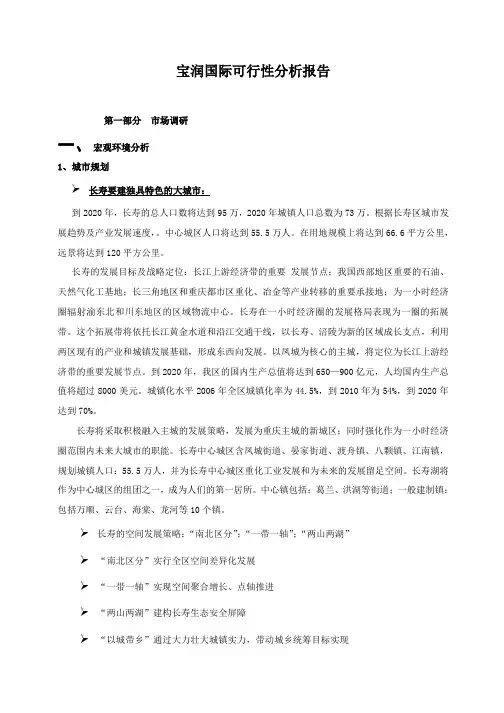 新华国际可行性分析报告