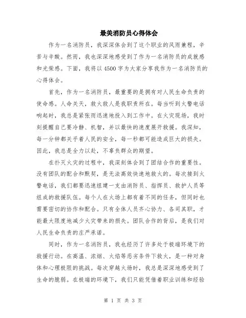 最美消防员心得体会