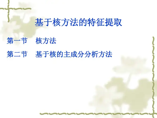 模式识别 基于核方法的特征提取