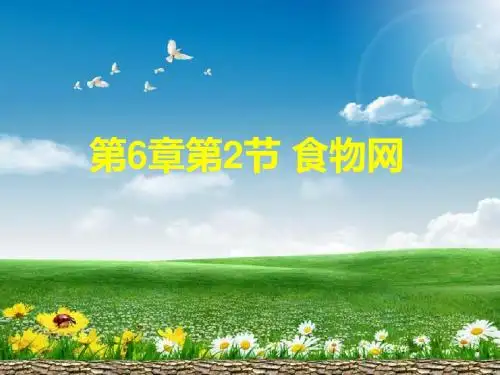 苏科版七上生物 3.6.2食物网 课件   (共19张PPT)