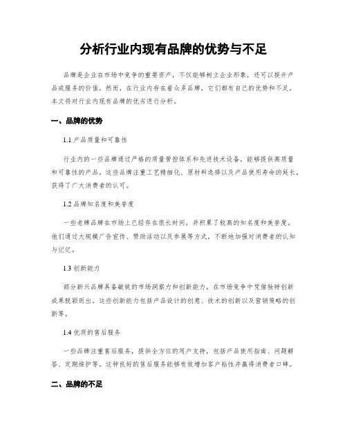 分析行业内现有品牌的优势与不足