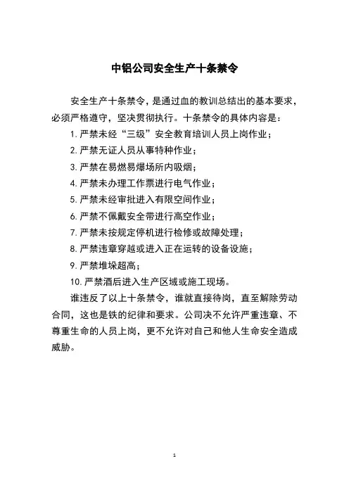 中铝公司安全生产十条禁令