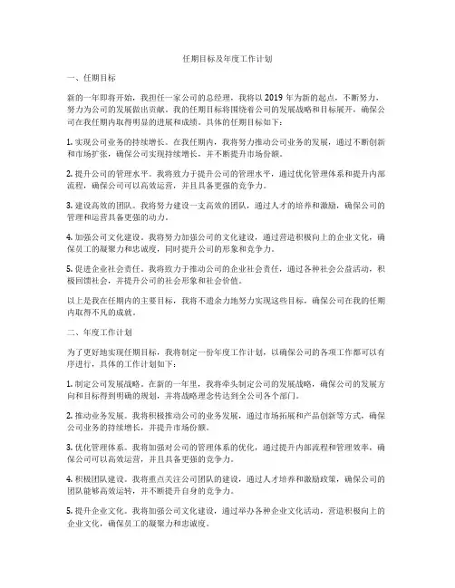 任期目标及年度工作计划