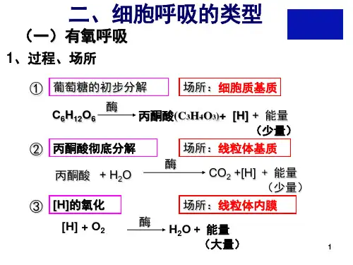 细胞呼吸.ppt