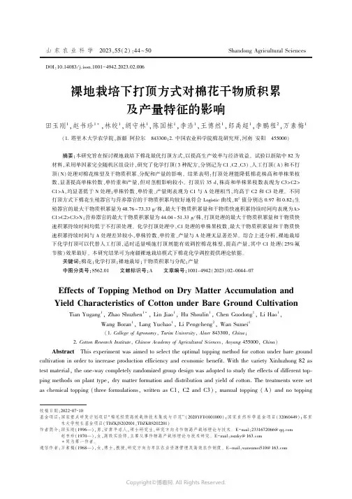 裸地栽培下打顶方式对棉花干物质积累及产量特征的影响