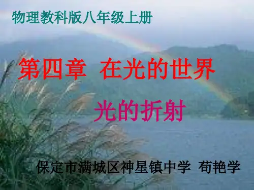 初中物理教科版八年级上册4. 光的折射